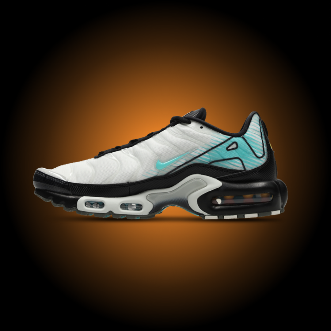 NIKE AIR MAX PLUS TN MERCURIAL VAPOR HV6225-100