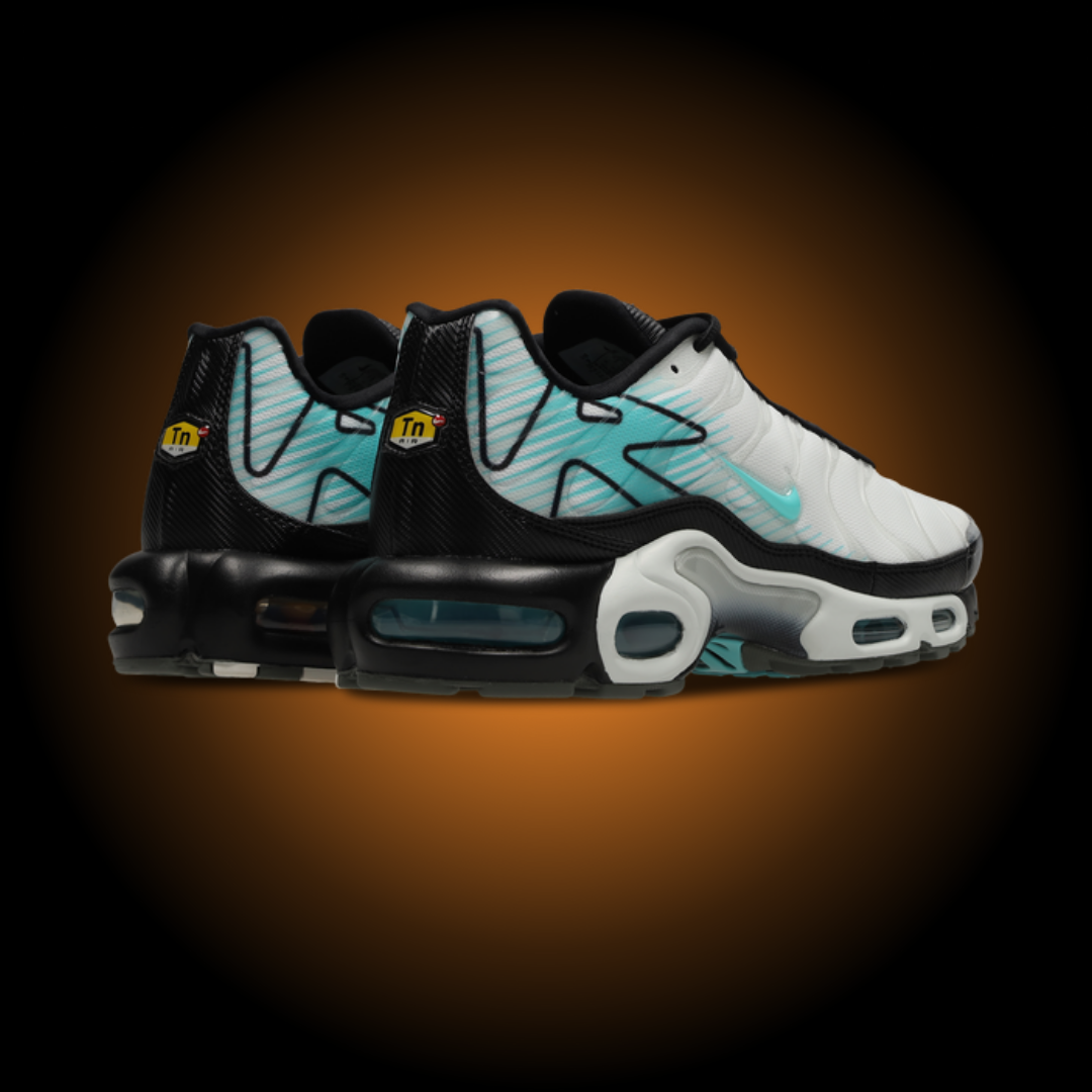 NIKE AIR MAX PLUS TN MERCURIAL VAPOR HV6225-100