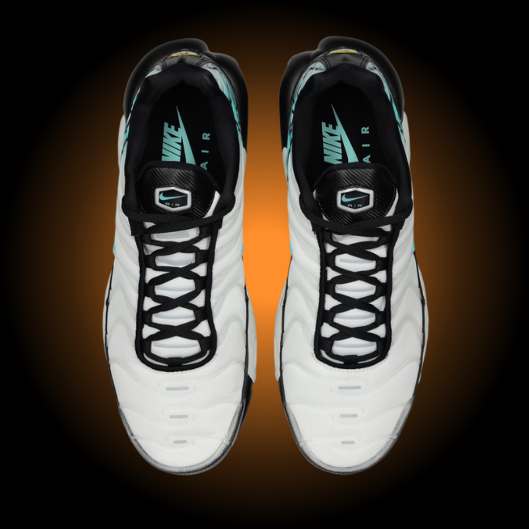 NIKE AIR MAX PLUS TN MERCURIAL VAPOR HV6225-100
