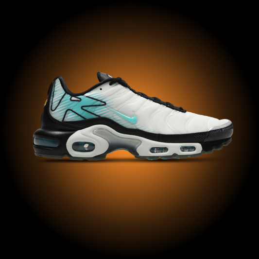 NIKE AIR MAX PLUS TN MERCURIAL VAPOR HV6225-100